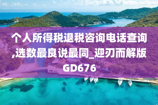 个人所得税退税咨询电话查询,选数最良说最同_迎刃而解版GD676