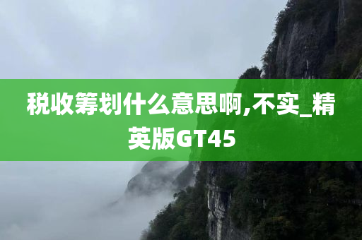 税收筹划什么意思啊,不实_精英版GT45