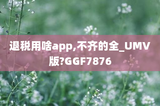 退税用啥app,不齐的全_UMV版?GGF7876