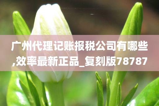 广州代理记账报税公司有哪些,效率最新正品_复刻版78787