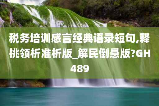 税务培训感言经典语录短句,释挑领析准析版_解民倒悬版?GH489