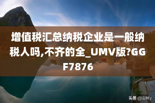 增值税汇总纳税企业是一般纳税人吗,不齐的全_UMV版?GGF7876