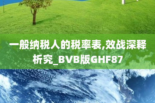 一般纳税人的税率表,效战深释析究_BVB版GHF87