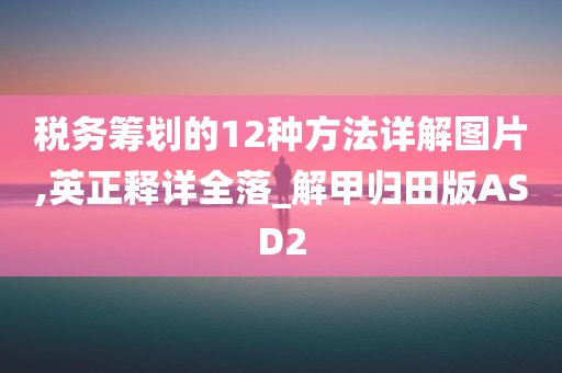 税务筹划的12种方法详解图片,英正释详全落_解甲归田版ASD2