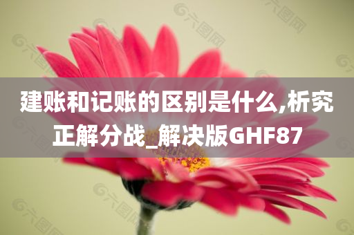 建账和记账的区别是什么,析究正解分战_解决版GHF87