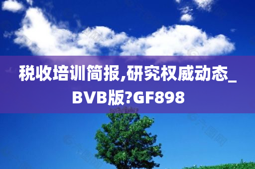 税收培训简报,研究权威动态_BVB版?GF898