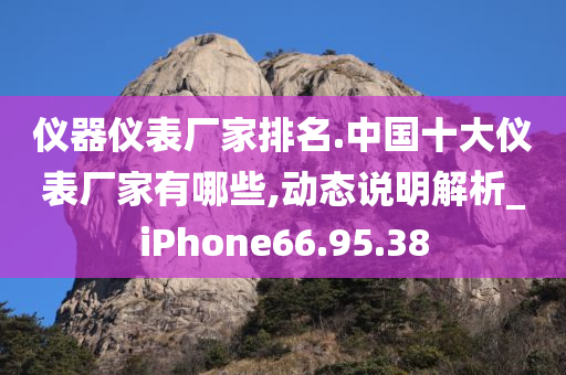 仪器仪表厂家排名.中国十大仪表厂家有哪些,动态说明解析_iPhone66.95.38