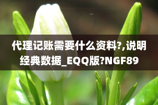 代理记账需要什么资料?,说明经典数据_EQQ版?NGF89