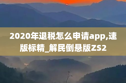 2020年退税怎么申请app,速版标精_解民倒悬版ZS2