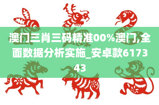 澳门三肖三码精准00%澳门,全面数据分析实施_安卓款617343