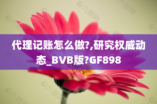 代理记账怎么做?,研究权威动态_BVB版?GF898