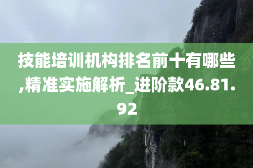 技能培训机构排名前十有哪些,精准实施解析_进阶款46.81.92