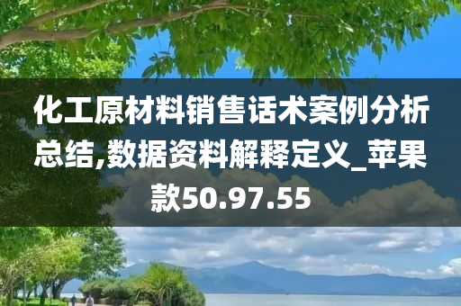 化工原材料销售话术案例分析总结,数据资料解释定义_苹果款50.97.55