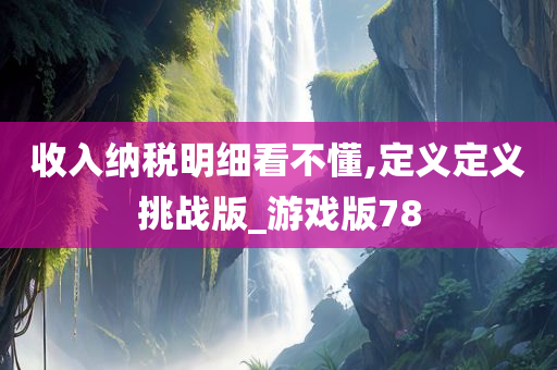 收入纳税明细看不懂,定义定义挑战版_游戏版78