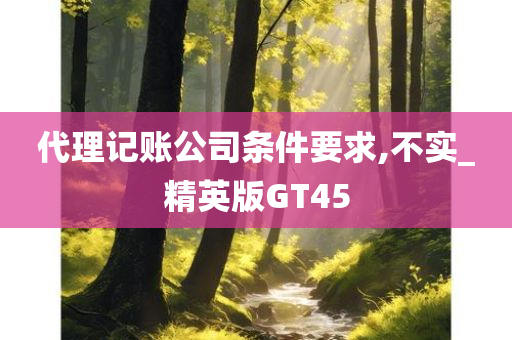 代理记账公司条件要求,不实_精英版GT45