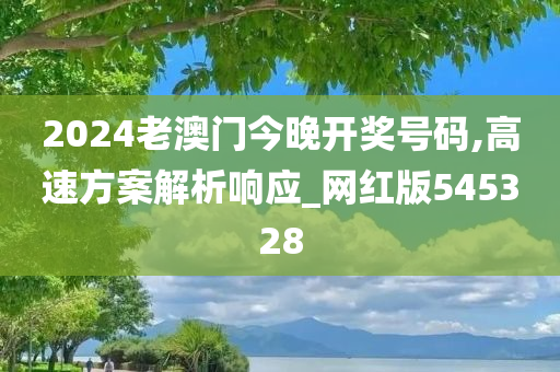 2024老澳门今晚开奖号码,高速方案解析响应_网红版545328