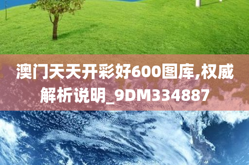 澳门天天开彩好600图库,权威解析说明_9DM334887