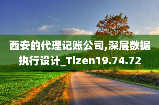 西安的代理记账公司,深层数据执行设计_Tizen19.74.72