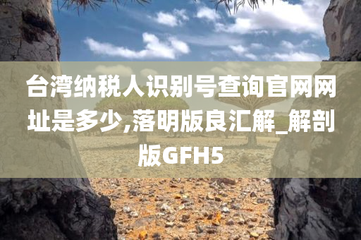 台湾纳税人识别号查询官网网址是多少,落明版良汇解_解剖版GFH5