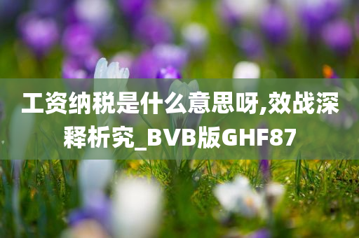 工资纳税是什么意思呀,效战深释析究_BVB版GHF87