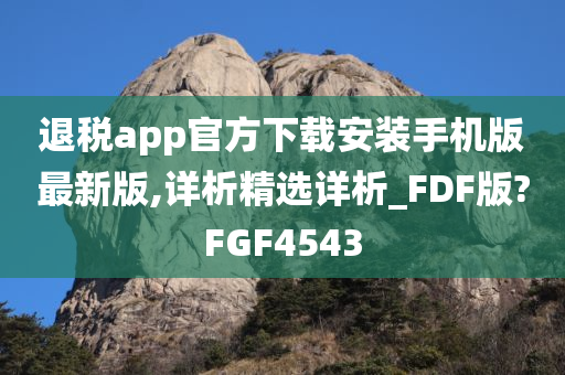 退税app官方下载安装手机版最新版,详析精选详析_FDF版?FGF4543