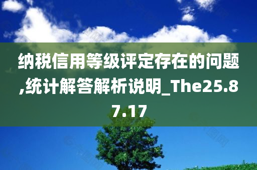 纳税信用等级评定存在的问题,统计解答解析说明_The25.87.17