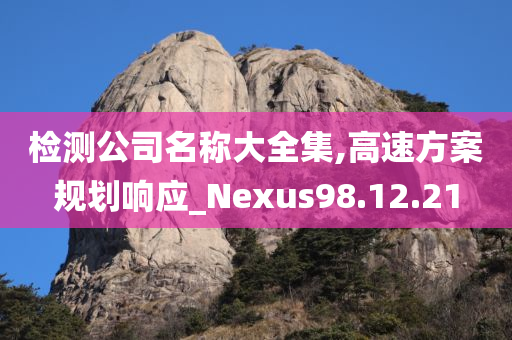 检测公司名称大全集,高速方案规划响应_Nexus98.12.21