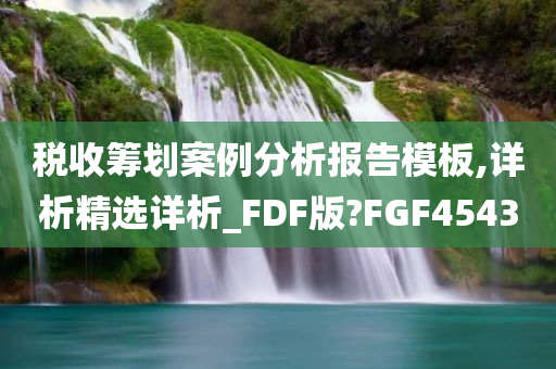 税收筹划案例分析报告模板,详析精选详析_FDF版?FGF4543