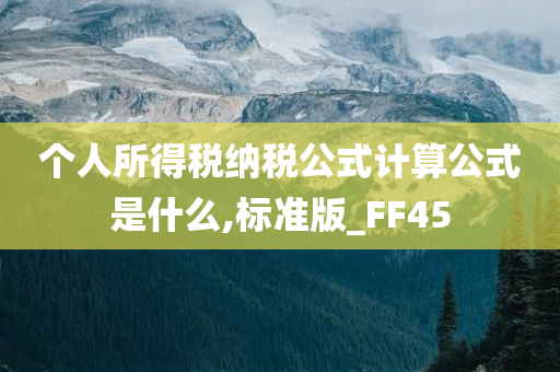 个人所得税纳税公式计算公式是什么,标准版_FF45