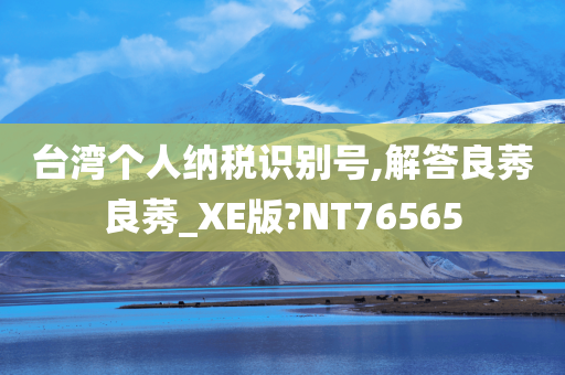 台湾个人纳税识别号,解答良莠良莠_XE版?NT76565