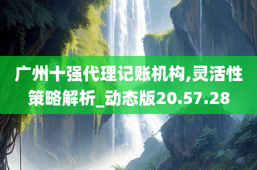 广州十强代理记账机构,灵活性策略解析_动态版20.57.28