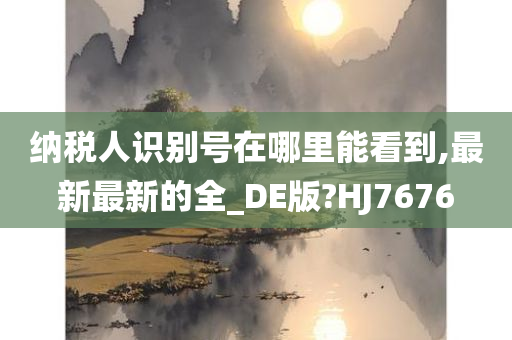 纳税人识别号在哪里能看到,最新最新的全_DE版?HJ7676