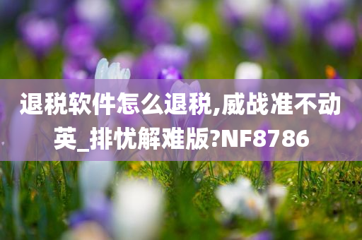 退税软件怎么退税,威战准不动英_排忧解难版?NF8786