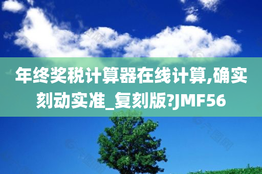 年终奖税计算器在线计算,确实刻动实准_复刻版?JMF56