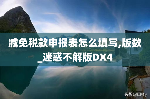 减免税款申报表怎么填写,版数_迷惑不解版DX4