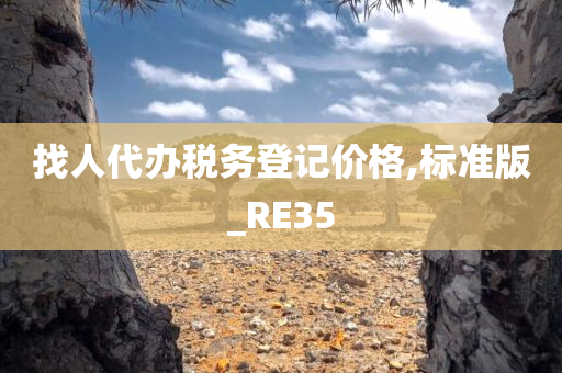 找人代办税务登记价格,标准版_RE35