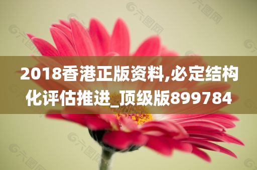 2018香港正版资料,必定结构化评估推进_顶级版899784