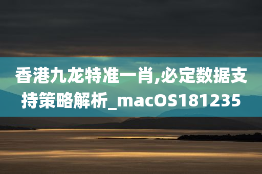 香港九龙特准一肖,必定数据支持策略解析_macOS181235