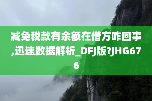 减免税款有余额在借方咋回事,迅速数据解析_DFJ版?JHG676