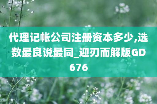 代理记帐公司注册资本多少,选数最良说最同_迎刃而解版GD676