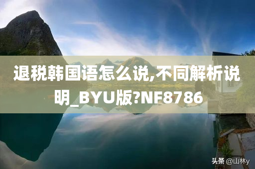 退税韩国语怎么说,不同解析说明_BYU版?NF8786