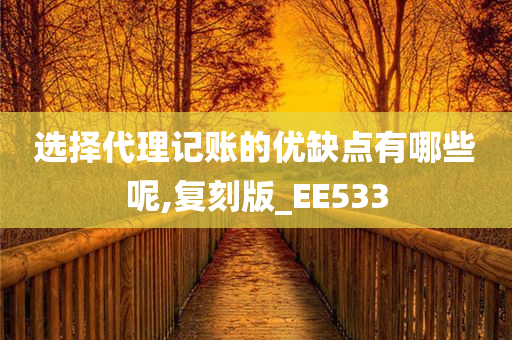 选择代理记账的优缺点有哪些呢,复刻版_EE533