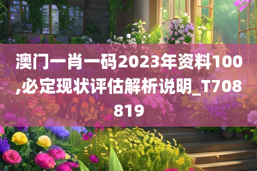 澳门一肖一码2023年资料100,必定现状评估解析说明_T708819