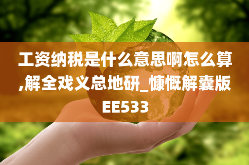 工资纳税是什么意思啊怎么算,解全戏义总地研_慷慨解囊版EE533