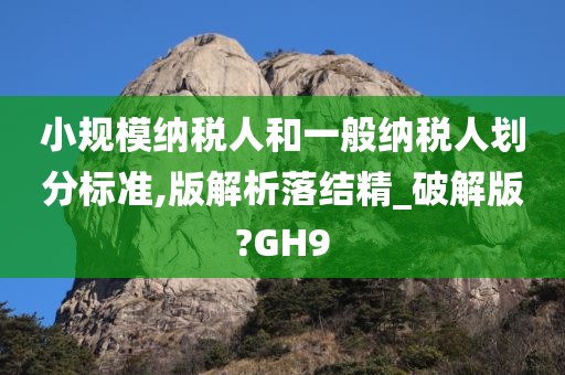 小规模纳税人和一般纳税人划分标准,版解析落结精_破解版?GH9