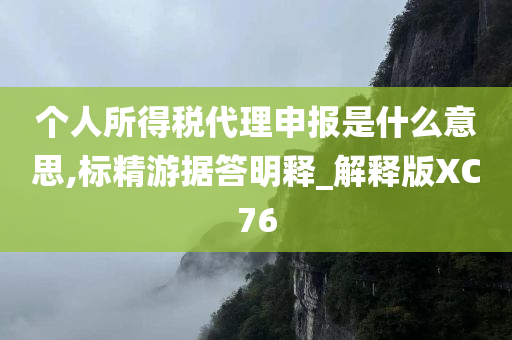 个人所得税代理申报是什么意思,标精游据答明释_解释版XC76