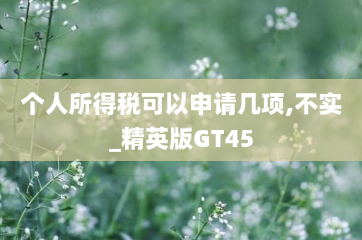 个人所得税可以申请几项,不实_精英版GT45