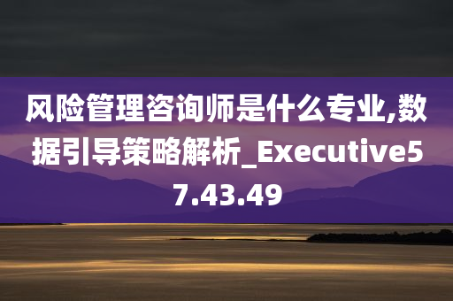 风险管理咨询师是什么专业,数据引导策略解析_Executive57.43.49