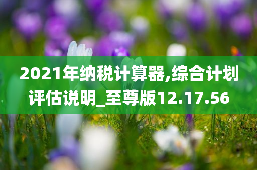 2021年纳税计算器,综合计划评估说明_至尊版12.17.56