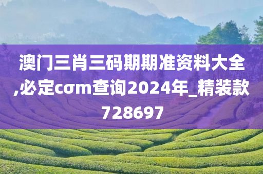 澳门三肖三码期期准资料大全,必定cσm查询2024年_精装款728697